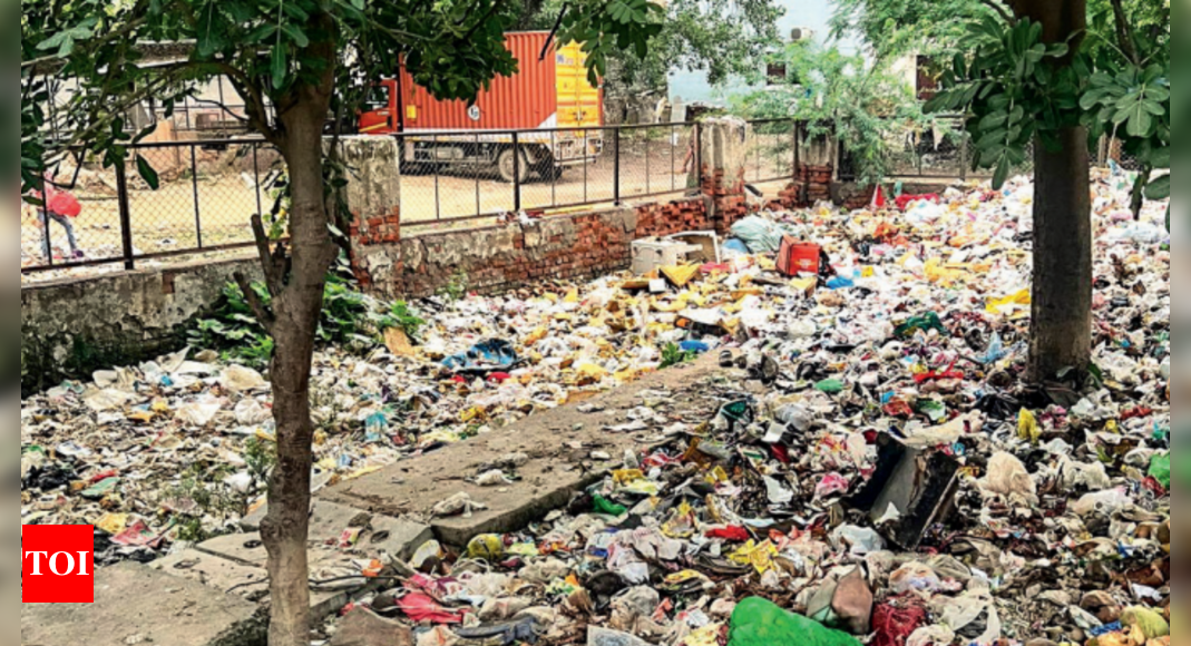 Already cleared once, garbage back, turns Sec 5 greenbelt into dumpsite | Gurgaon News - Times of India