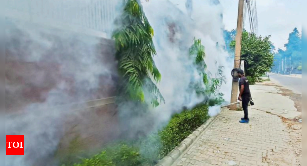 Dengue tally nears 700 in Haryana, most in Rohtak | Gurgaon News - Times of India