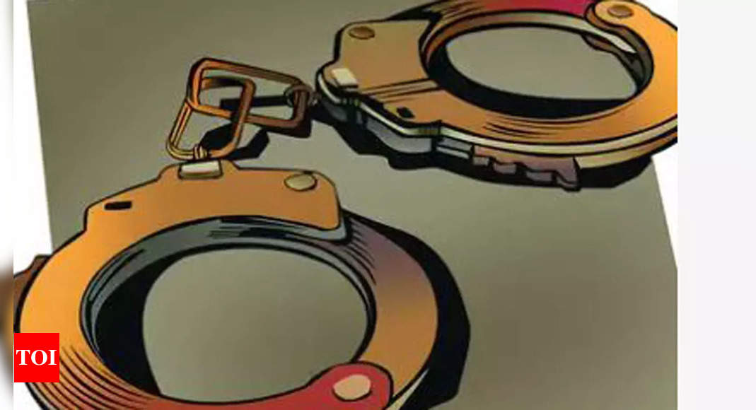 Man attacks live-in partner with screwdriver in Gurgaon; arrested | Gurgaon News - Times of India