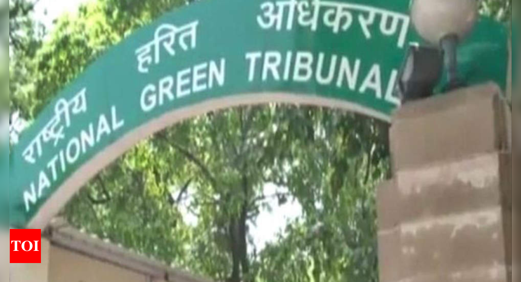 Why Green Damages Not Collected? Ngt Seeks Report In 6 Wks | Gurgaon News - Times of India